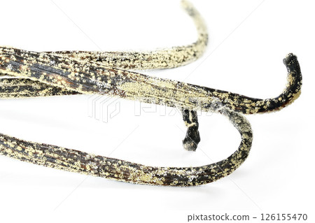 White / yellow mould or mildew growing on vanilla sticks stored improperly in wet and cold fridge - close up detail photo isolated on white background 126155470