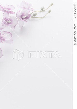 悼念明信片：蝴蝶蘭 126155496