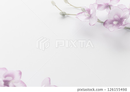 悼念明信片：蝴蝶蘭 126155498