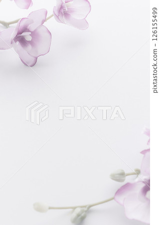 悼念明信片:蝴蝶蘭 悼念明信片:蝴蝶蘭 126155499