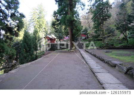 Gunma Prefecture, Myogi Shrine, near the main hall in spring, April 14, 2025 126155973