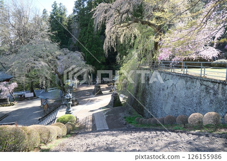 Gunma Prefecture, Myogi Shrine grounds in spring April 14, 2025 126155986