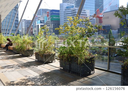 東京車站八重洲口二樓的通道與植物 東京車站八重洲口二樓的通道與植物 126156076