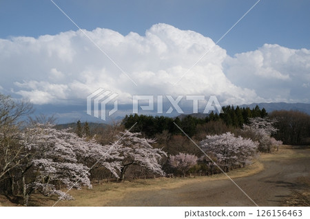 Gunma Prefecture, Shimonita Town, Mt. Myogi, View from the parking lot of Nakanotake Shrine towards the second parking lot, April 14, 2025 Gunma Prefecture, Shimonita Town, Mt. Myogi, View from the parking lot of Nakanotake Shrine towards the second parking lot, April 14, 2025 126156463