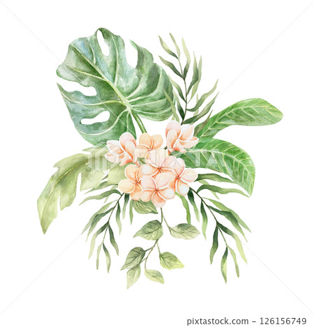 Tropical bouquet of pink plumeria flowers, green palm leaves, monstera, liana. Hand drawn watercolor illustration isolated on white. For postcards, invitations, summer banners, posters. 126156749