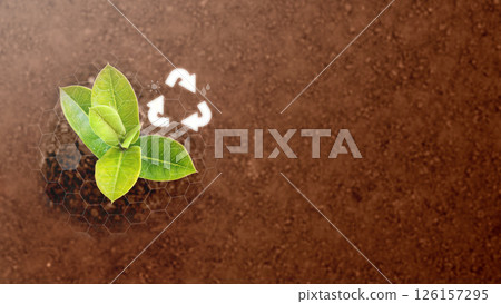 A green plant with a recycling icon on the ground. Concept of renewable energy, environment, and ecology 126157295