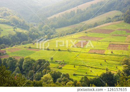 countryside mountain landscape. green fields, arable and trees on the hill in dappled light. organic farmland. scenery of volovets rural area in transcarpathia region on a cloudy day in early autumn countryside mountain landscape. green fields, arable and trees on the hill in dappled light. organic farmland. scenery of volovets rural area in transcarpathia region on a cloudy day in early autumn 126157635