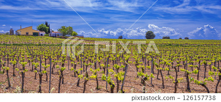 Valdepenas Vineyards, Spain Valdepenas Vineyards, Spain 126157738
