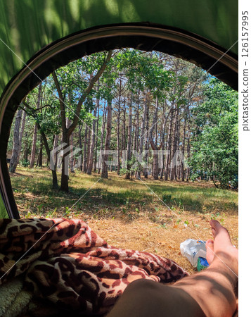 Forest view from a camping tent 126157995