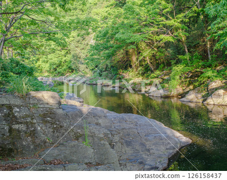 嵐山山谷的春天（埼玉縣），傍晚 126158437