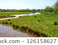Swan and heron relaxing in a peaceful flooded meadow near the road 126158627