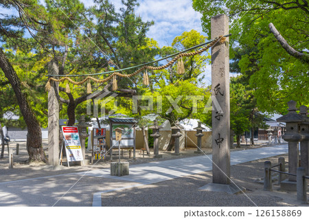Nishinomiya Shrine: The approach and shimenawa pillars surrounded by fresh greenery 126158869