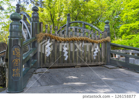 西宮神社 - 被新綠環繞的丹保橋 126158877