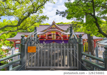 Nishinomiya Shrine - A magnificent worship hall seen across the Tanpo Bridge 126158881