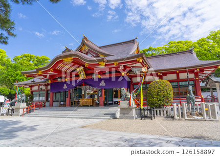 西宮神社：雄偉的拜殿 126158897