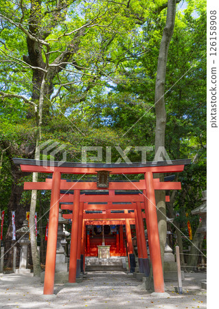 Nishinomiya Shrine grounds - Shinmei Shrine Nishinomiya Shrine grounds - Shinmei Shrine 126158908