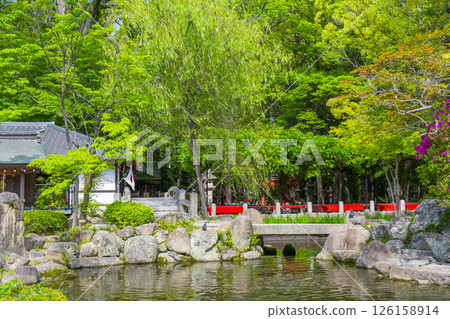Nishinomiya Shrine: Shrine Garden and Okame Teahouse Nishinomiya Shrine: Shrine Garden and Okame Teahouse 126158914