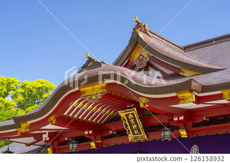 西宮神社:雄偉的拜殿 西宮神社:雄偉的拜殿 126158932