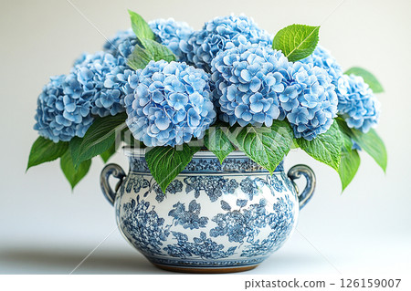 Ceramic vase in antique style with big Hydrangea bush grows on a white background. 126159007