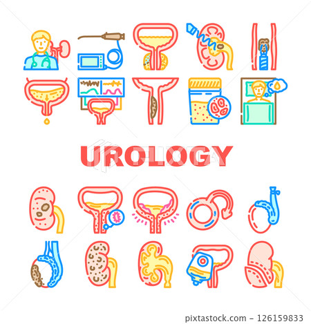 urology nephrology prostate icons set vector 126159833