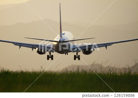 Airplane landing 126159886