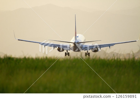 Airplane landing 126159891