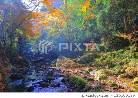 Autumn in Yabakei (around Hitome Hakkei and Yamautsuri River) 126160159