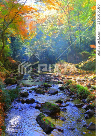 Autumn in Yabakei (Around Hitome Hakkei, Yamautsuri River, vertical composition) 126160160
