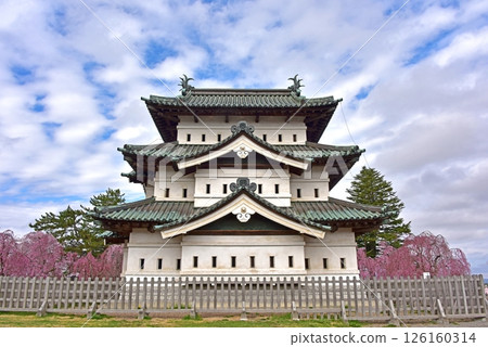 弘前公園:弘前城和櫻花 弘前公園:弘前城和櫻花 126160314