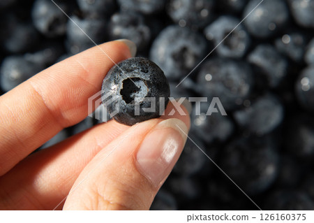 Bog whortleberrys in the hand. Close-up horizontally. Bog whortleberrys in the hand. Close-up horizontally. 126160375