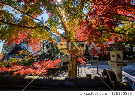 秋葉環繞的吉峰寺 秋葉環繞的吉峰寺 126160586
