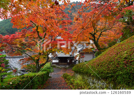 秋葉環繞的吉峰寺 126160589
