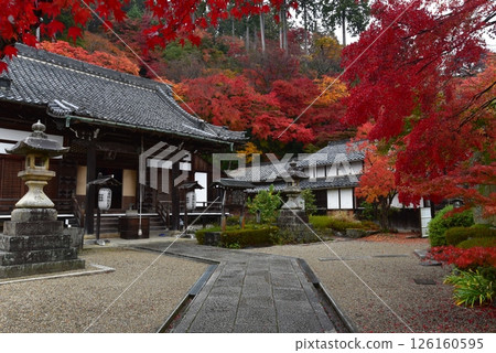Shakado Hall of Zenboji Temple surrounded by autumn leaves 126160595