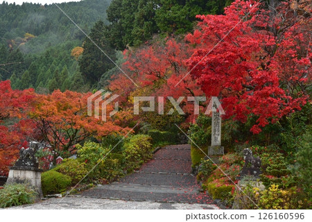 秋葉、樓梯和稻荷神社 126160596
