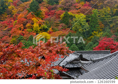 秋葉環繞的吉峰寺 秋葉環繞的吉峰寺 126160599