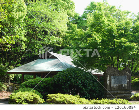 被新鮮綠色植物環繞的日本花園 |猿江恩賜公園 126160884