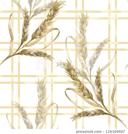 Wheat stems bouquet watercolor seamless pattern on beige plaid background.Hand drawn field corn floral repeated clipart with cereals and rye for eco product,bread packing,rustic kitchen textile design 126160987