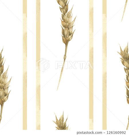 Golden wheat watercolor seamless pattern with cereals stems and beige geometric lines illustration.Abstract floral striped background with field crops for kitchen textile,fabric, rustic design 126160992