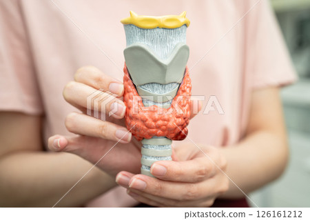 Hyperthyroidism, Overactive Thyroid, Thyroid Lymphoma, Asian woman with thyroid gland human anatomy model. 126161212
