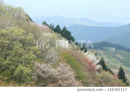 View of Mt. Ontei 126161517