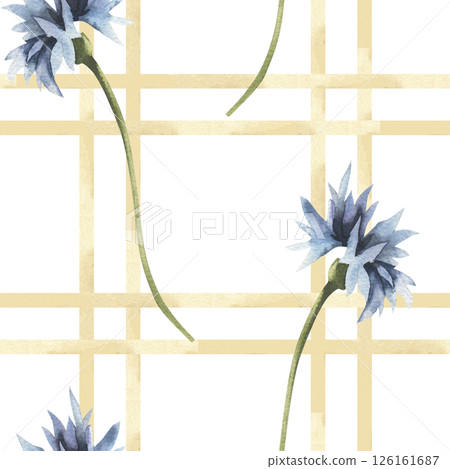 Field blue flowers seamless pattern with cornflowers watercolor illustrations on striped background. Hand drawn rustic floral clipart on striped beige background for eco product packing design 126161687