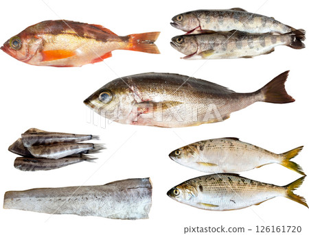 Cutout material set-fish 2 Cutout material set-fish 2 126161720