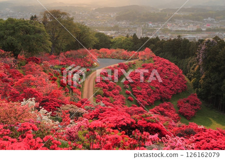 Evening view of Kasama Azalea Park 126162079