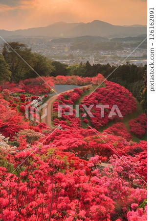 Evening view of Kasama Azalea Park 126162091