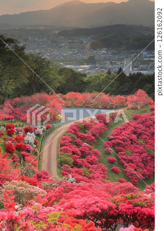Evening view of Kasama Azalea Park 126162092