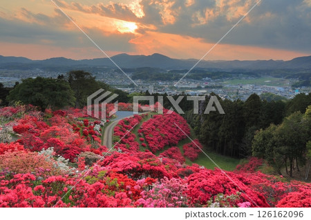 Evening view of Kasama Azalea Park Evening view of Kasama Azalea Park 126162096