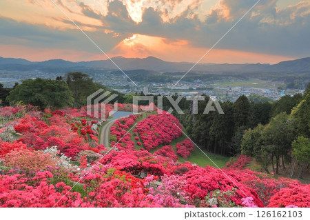 Evening view of Kasama Azalea Park 126162103