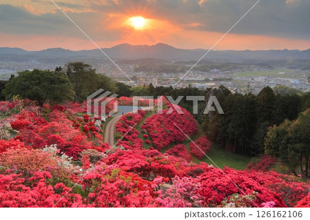 笠間杜鵑公園的夜景 126162106