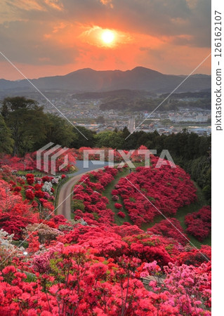 笠間杜鵑公園的夜景 126162107