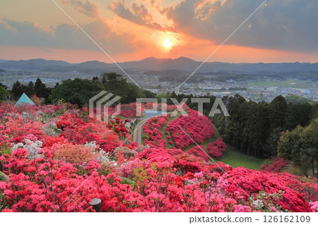 笠間杜鵑公園的夜景 126162109